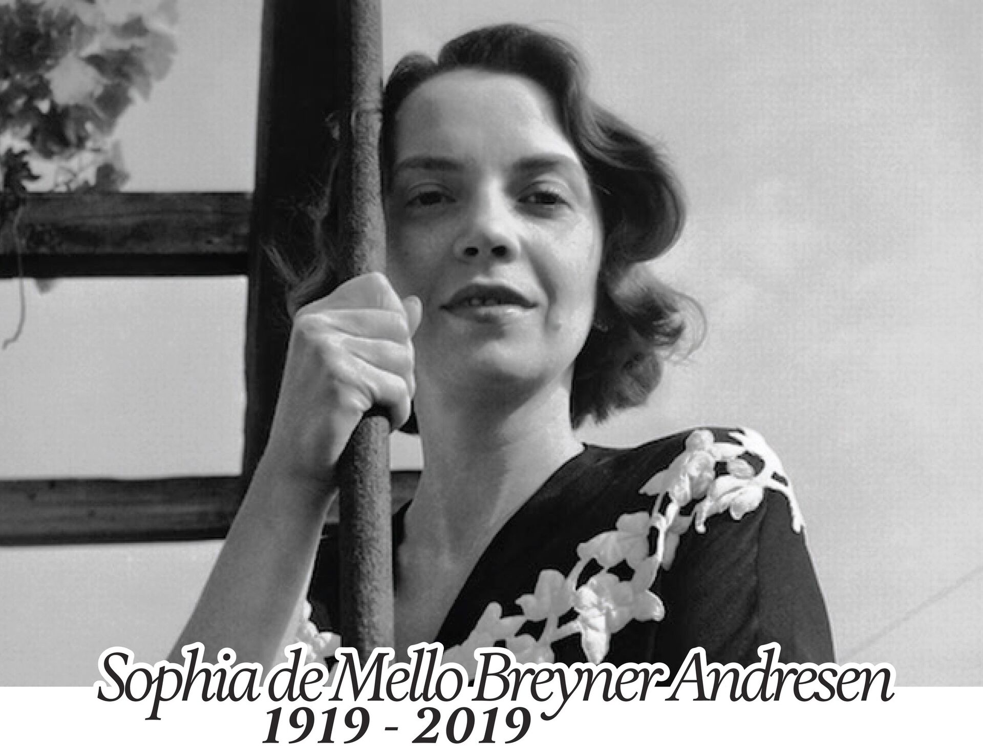 8 Poemas de Sophia de Mello Breyner Andersen (8)