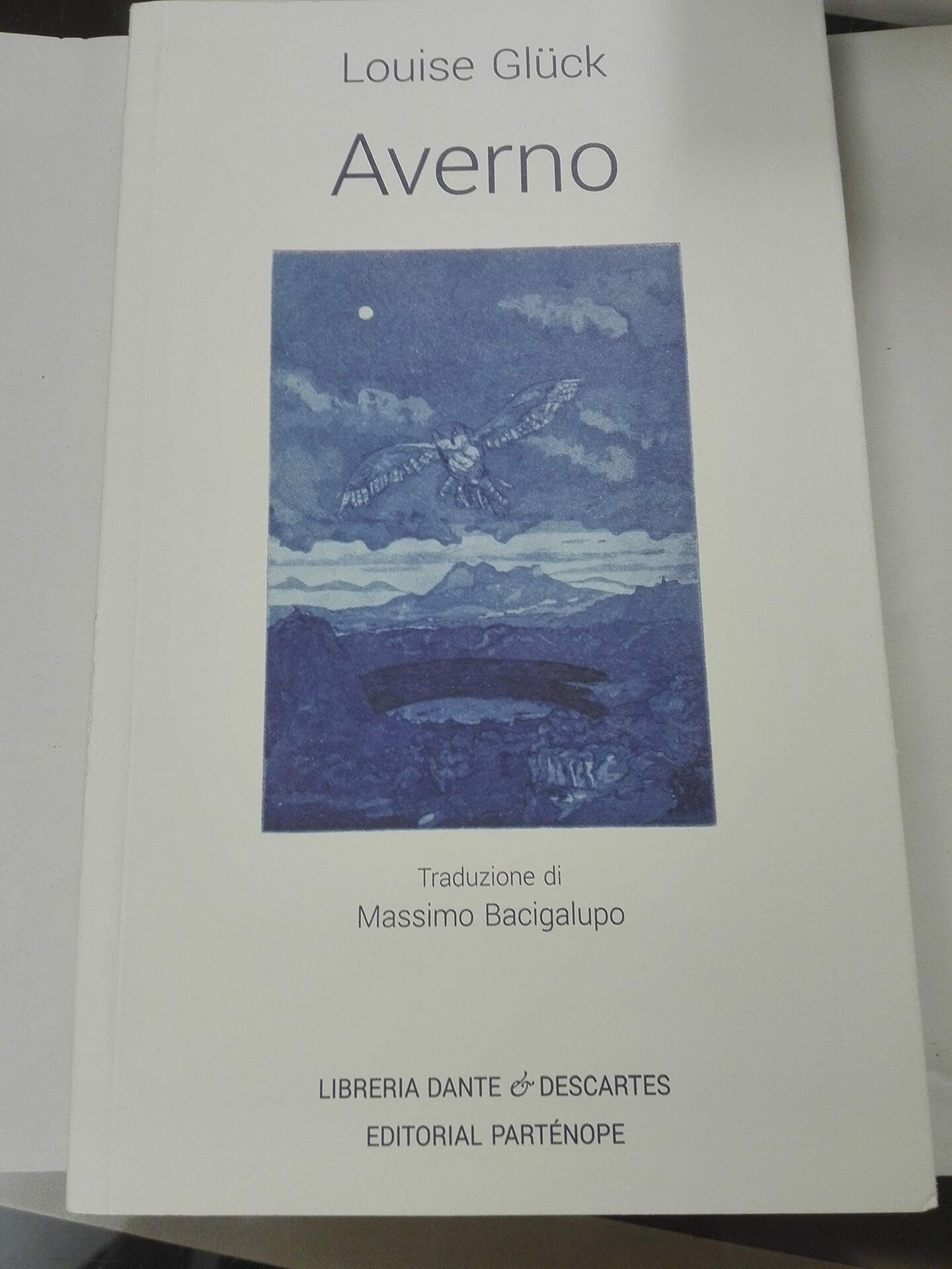 14  Poemas de Louise Glück (20)