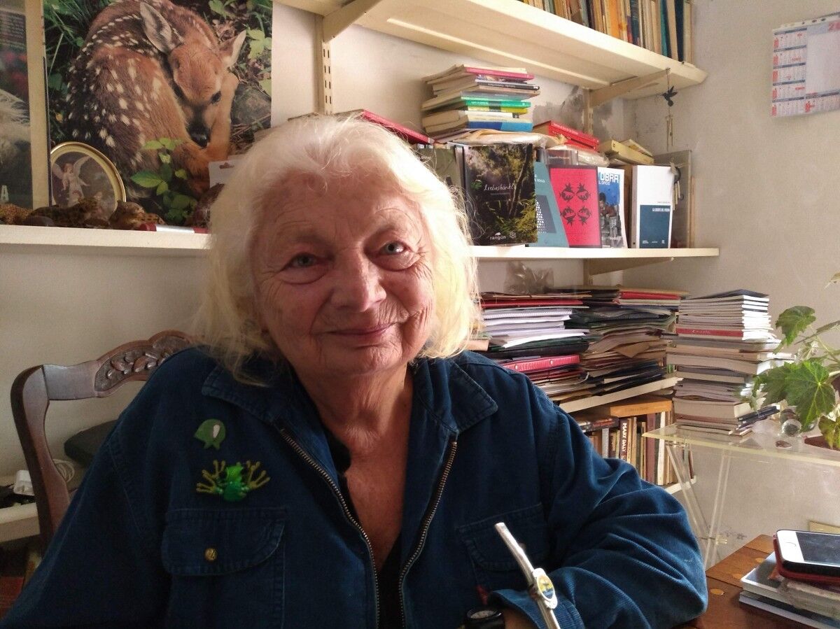 11 Poemas de Diana Bellessi (7)