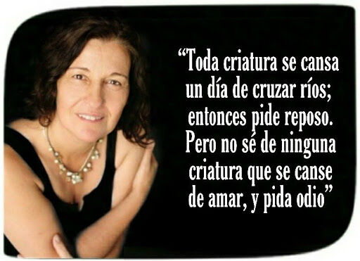 10 Poemas de Liliana Bodoc (8)
