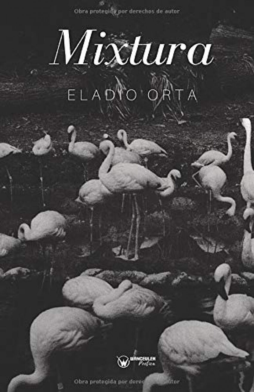8 Poemas de Eladio Orta (17)