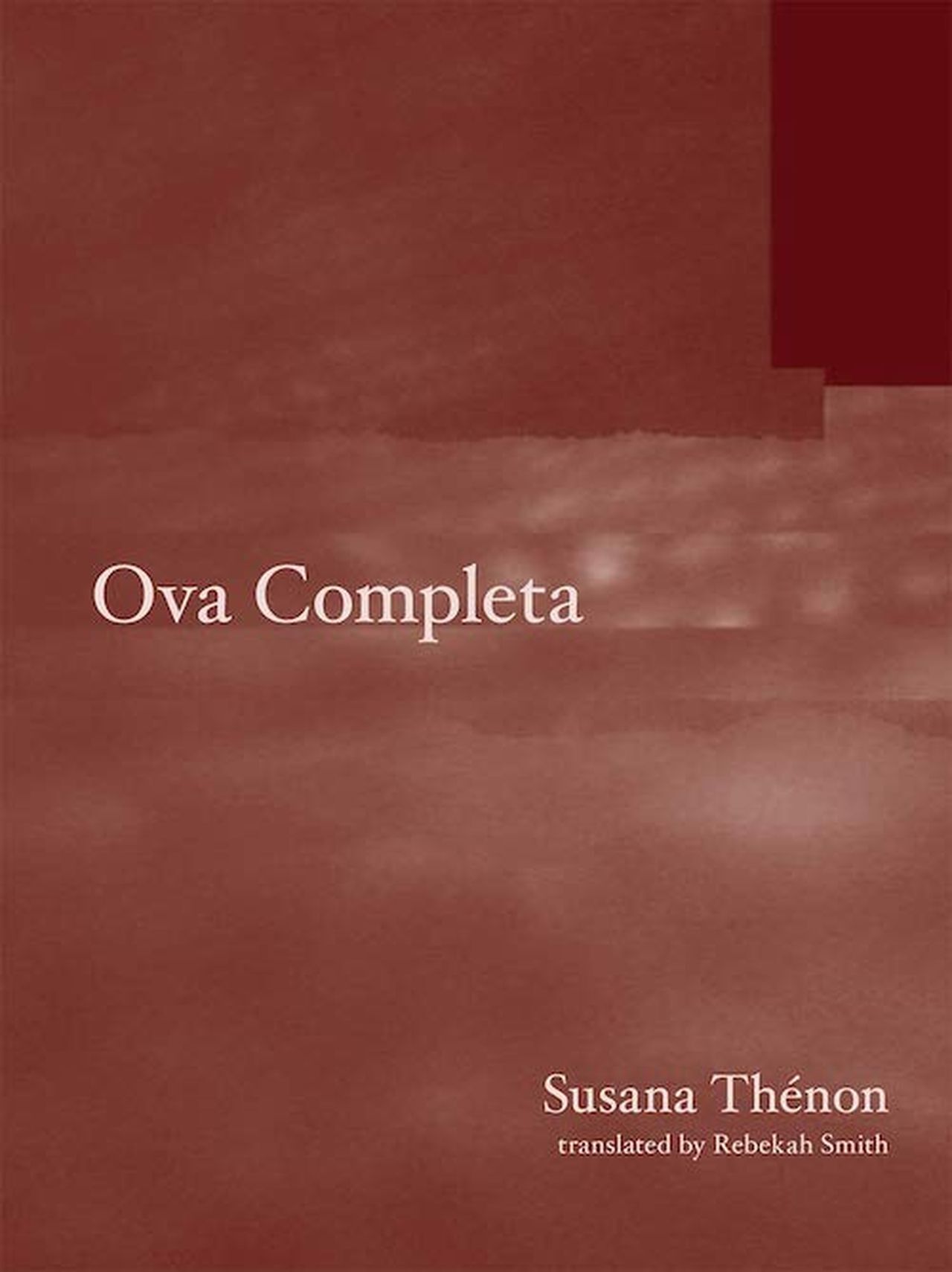 15 Poemas de Susana Thénon (2)
