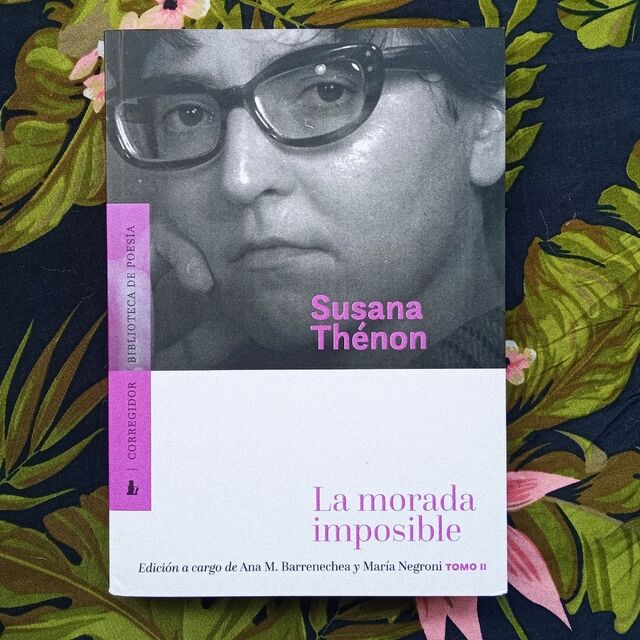 15 Poemas de Susana Thénon (13)
