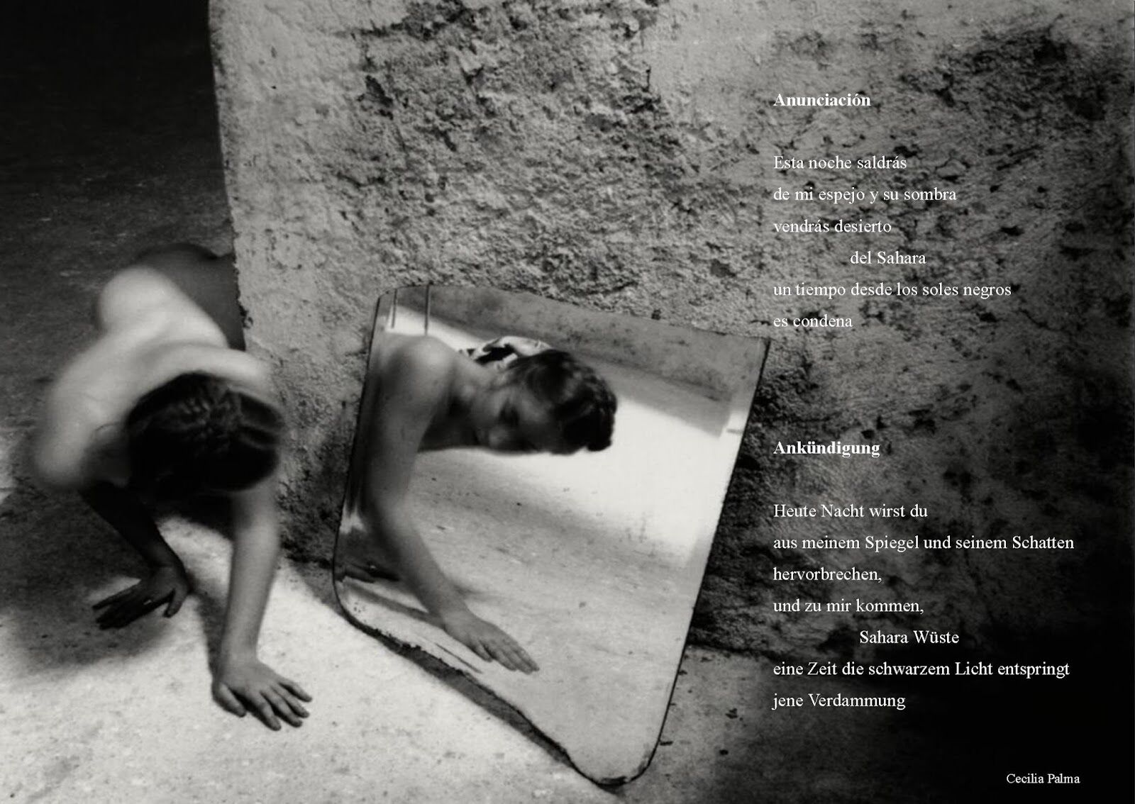 9 Poemas y 2 Fotopoemas de Cecilia Palma (9)