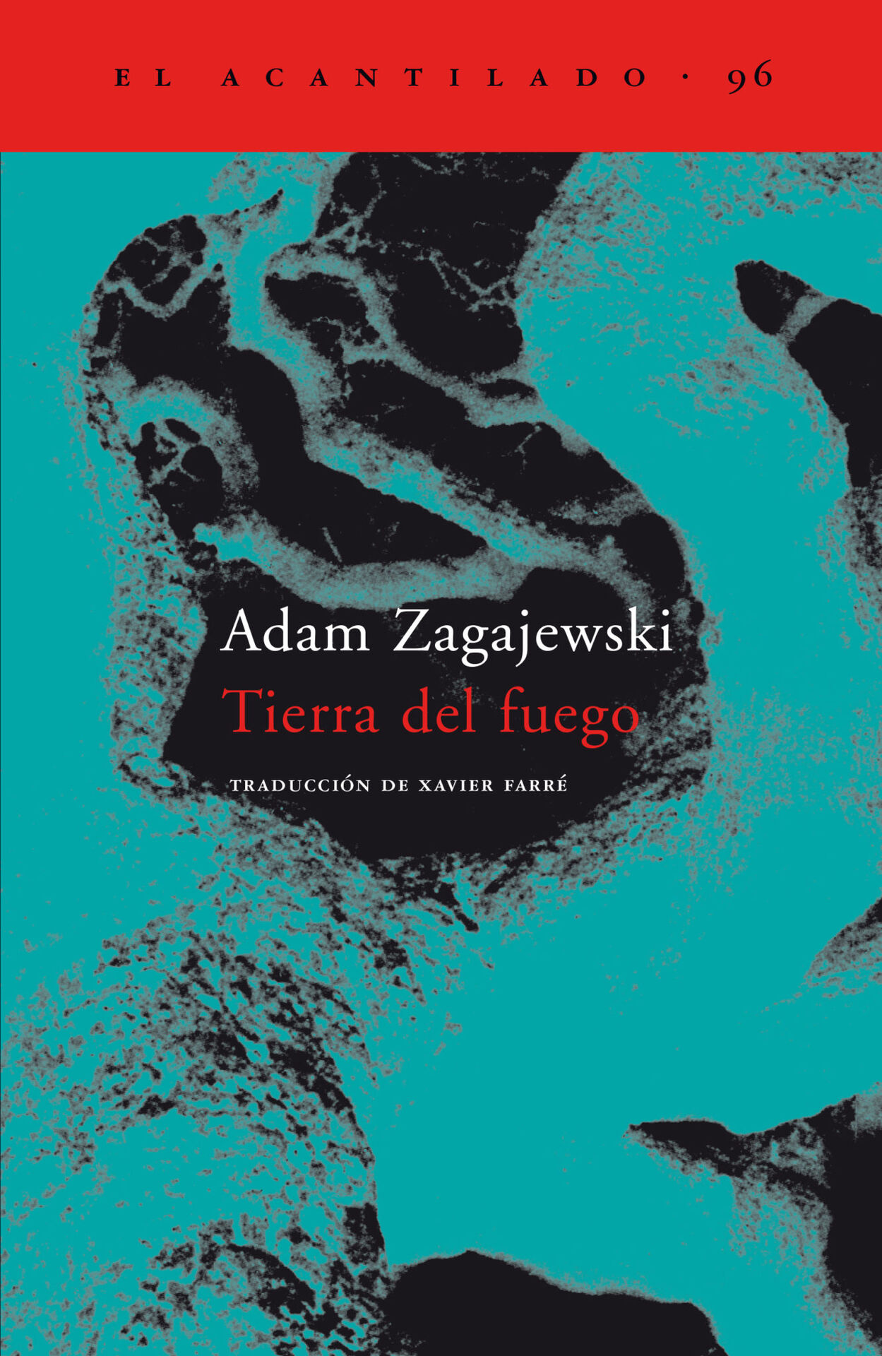 11 Poemas de Adam Zagajewski (8)