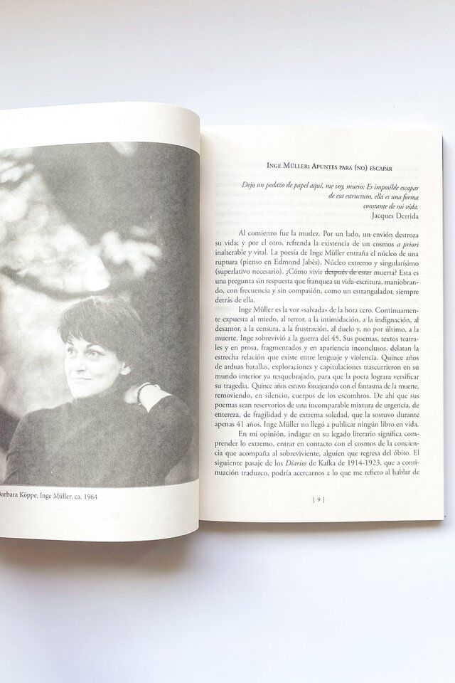 12 Poemas de Inge Müller (6)