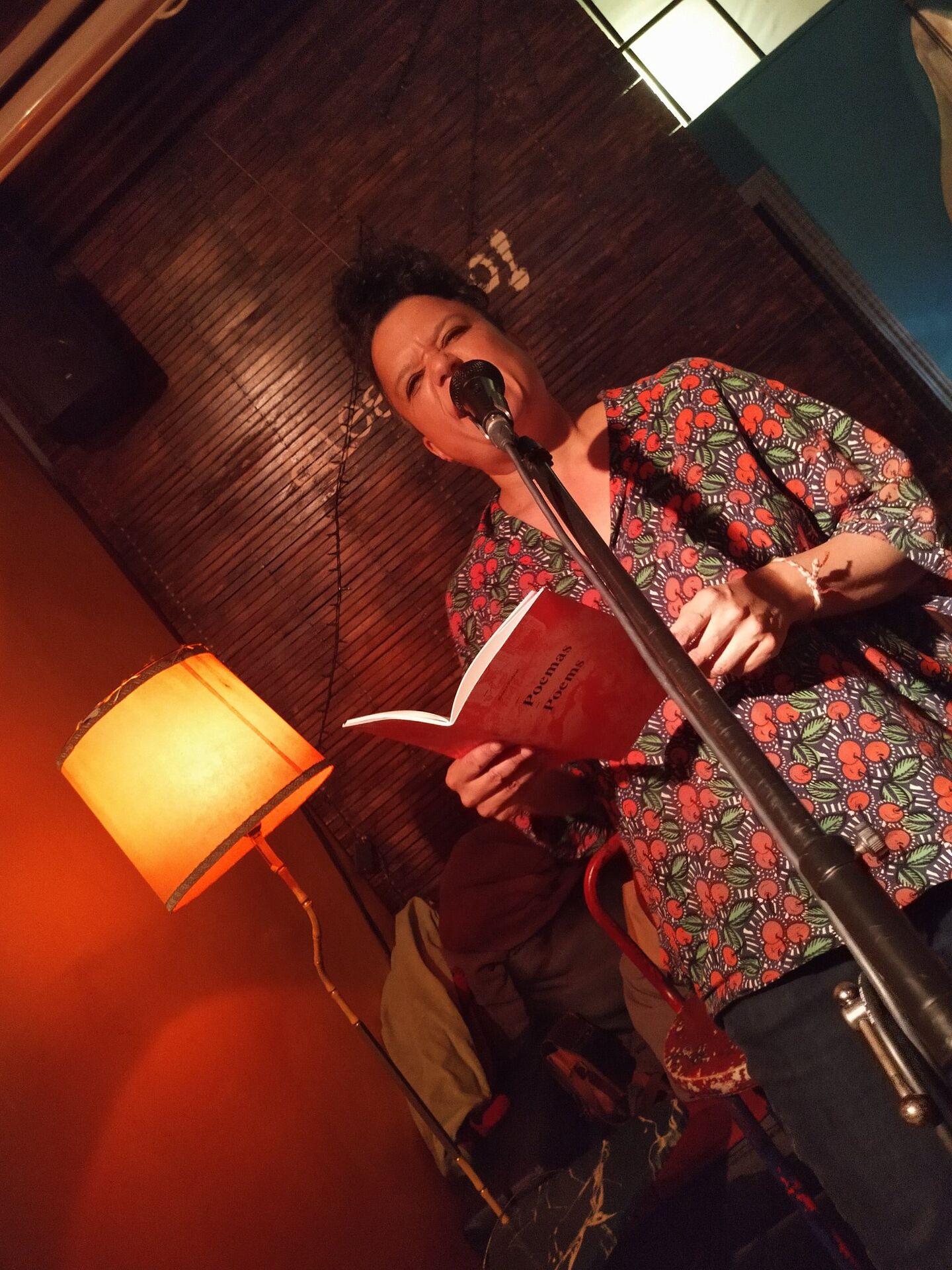 6 Poemas de Blanca Haddad (5)