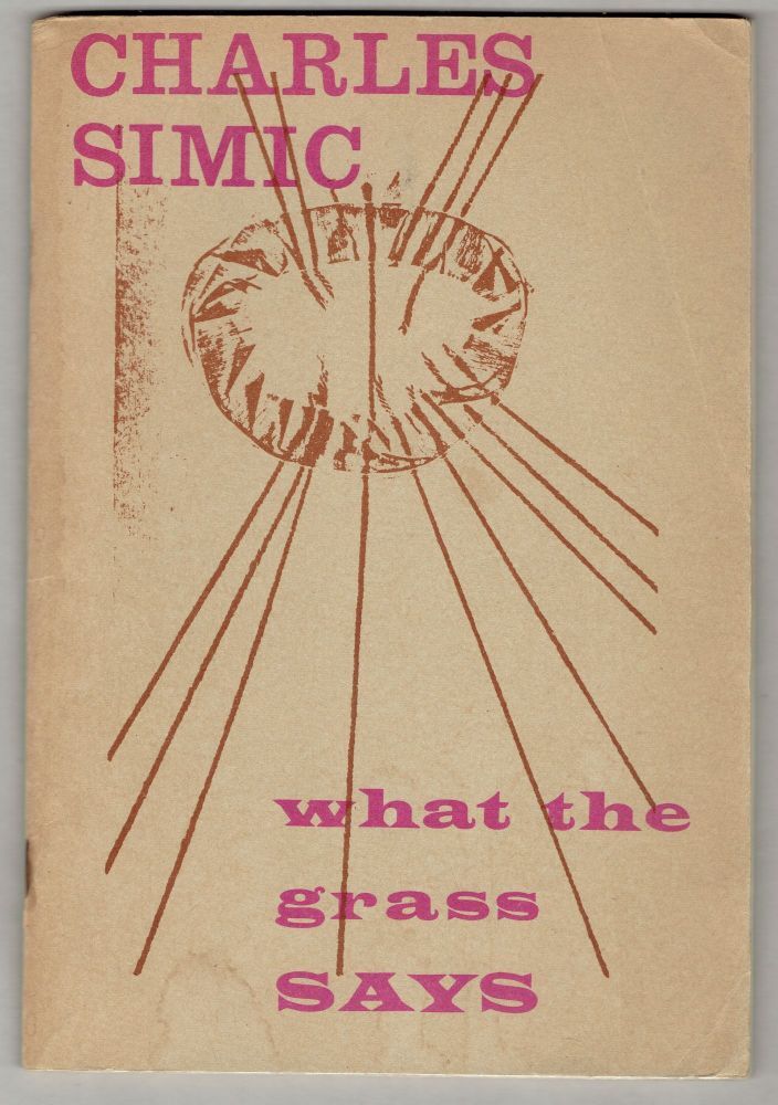 15 Poemas de Charles Simic (9)