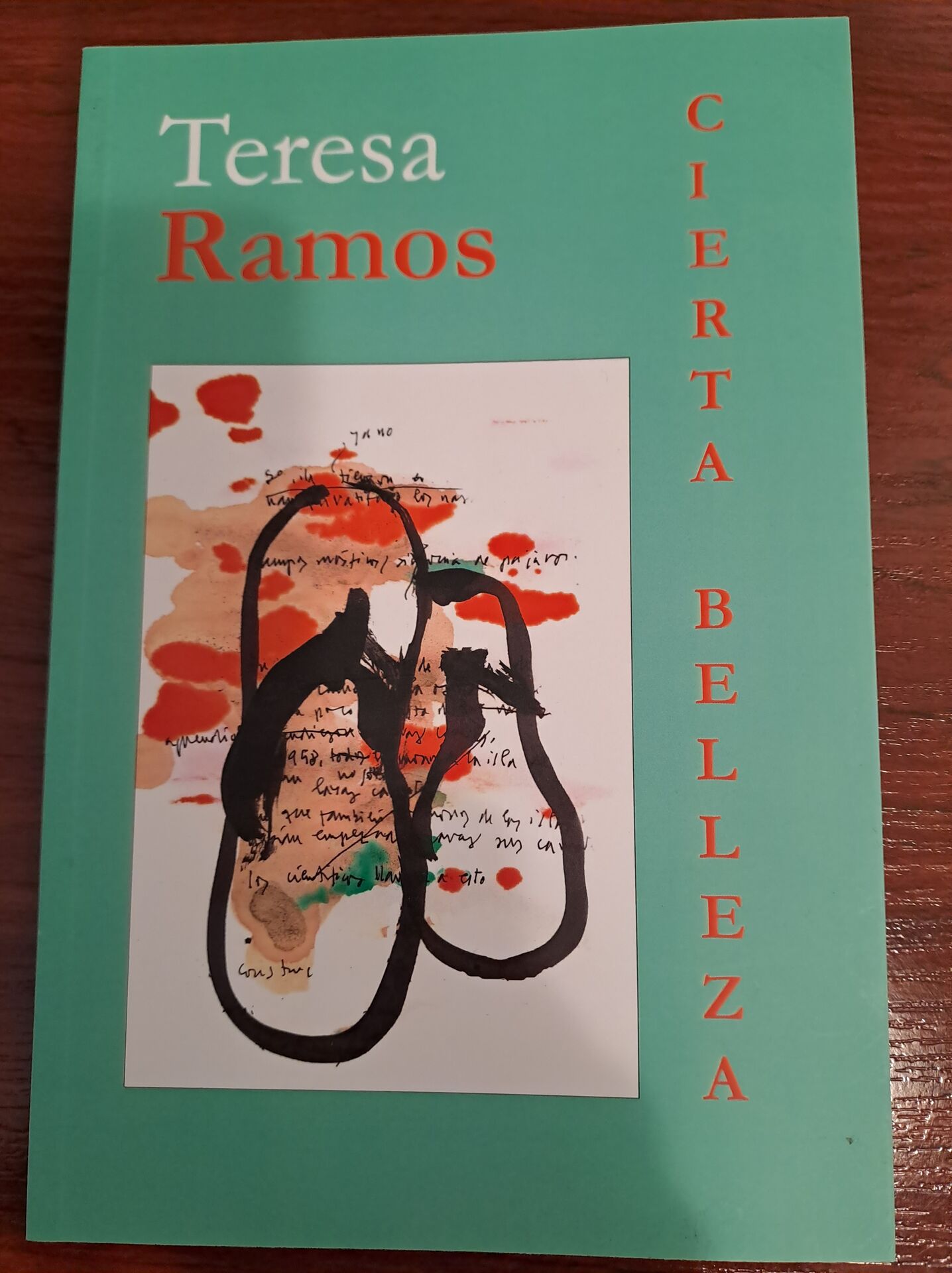 15 Poemas de Teresa Ramos (12)