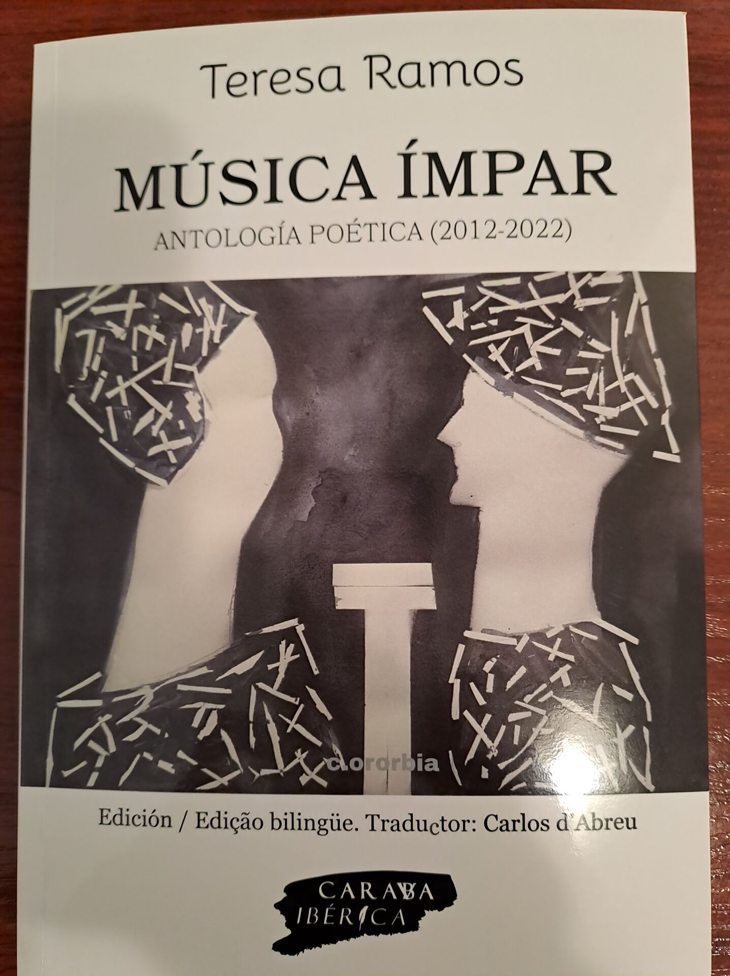 15 Poemas de Teresa Ramos (14)