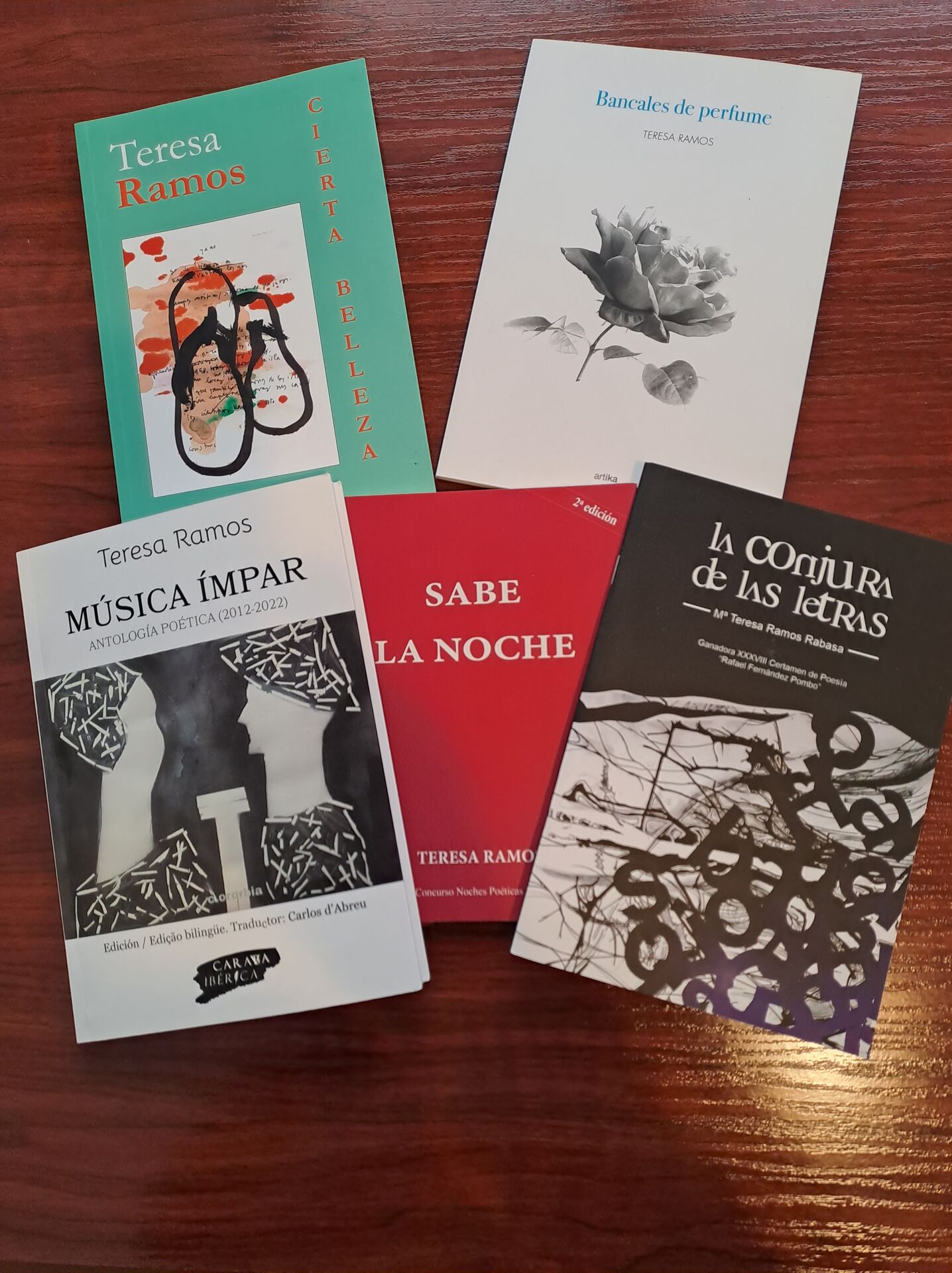 15 Poemas de Teresa Ramos (13)