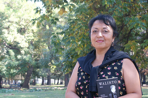Graciela Huinao-Nación Mapuche — 10 Poemas de Graciela Huinao (4)