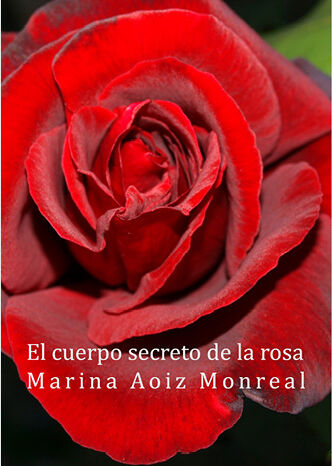 15 Poemas de Marina Aoiz (11)