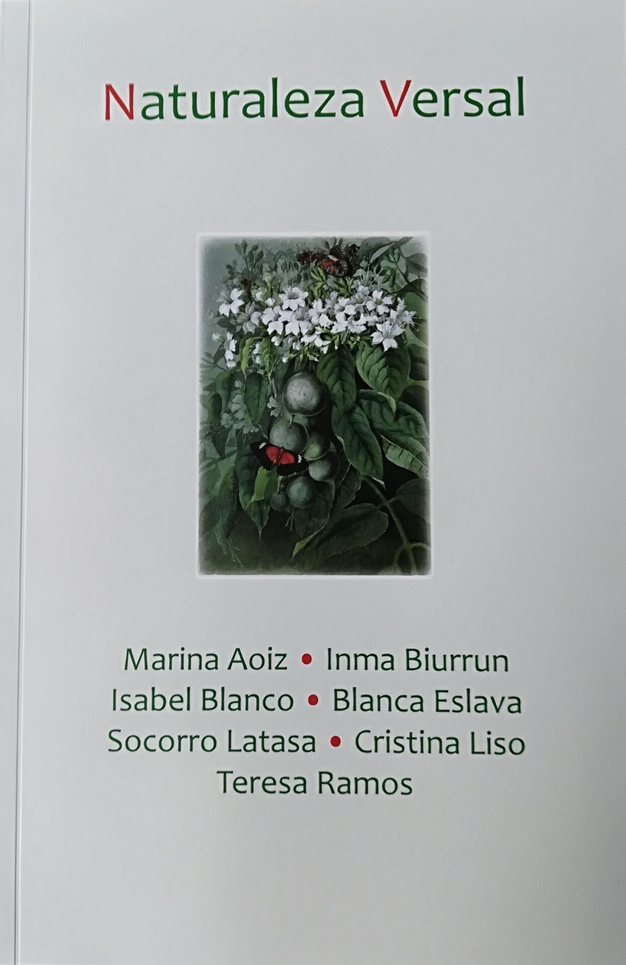 15 Poemas de Mª  Socorro Latasa Miranda (3)