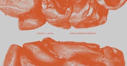 10 Poemas de María Auxiliadora Balladares (8)