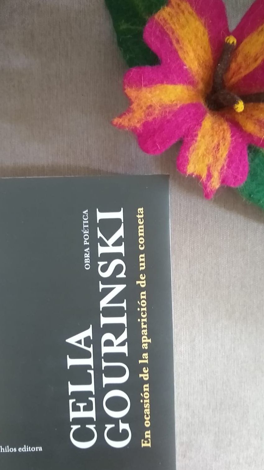 14 Poemas de Celia Gourinski (10)