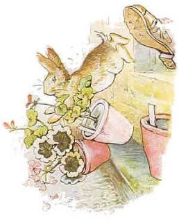 Las Imprescindibles — Beatrix Potter (15)