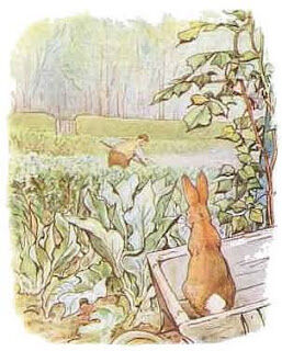 Las Imprescindibles — Beatrix Potter (18)