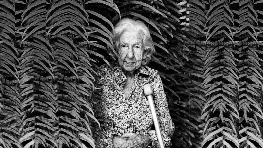 11 Poemas de Cora Coralina (10)
