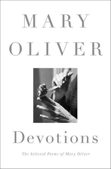 11 Poemas de Mary Oliver (8)