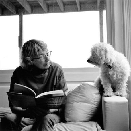 11 Poemas de Mary Oliver (9)