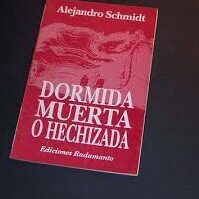 15 Poemas de Alejandro Schmidt