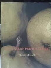 11 Poemas de Vicente Luy (5)