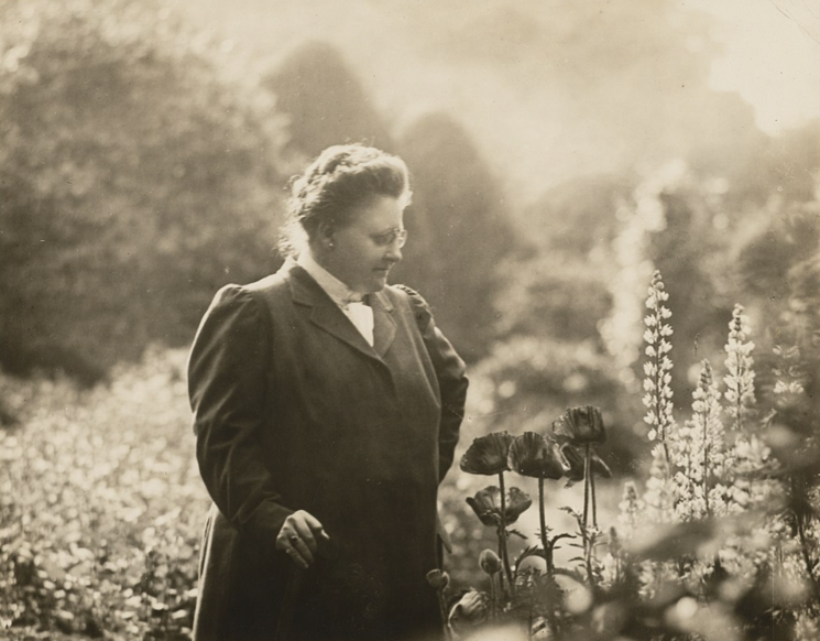 9 Poemas de Amy Lowell (8)